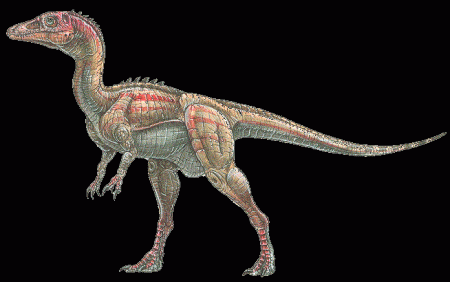 Eoraptor. Byl to masožravec. Měřil 1m,Vážil něco okolo 10kg. Žil před 230-225m.l.V Argentině. Poznáte ho podle zbarvení a podle toho že má na hlavě a na těle bodliny.